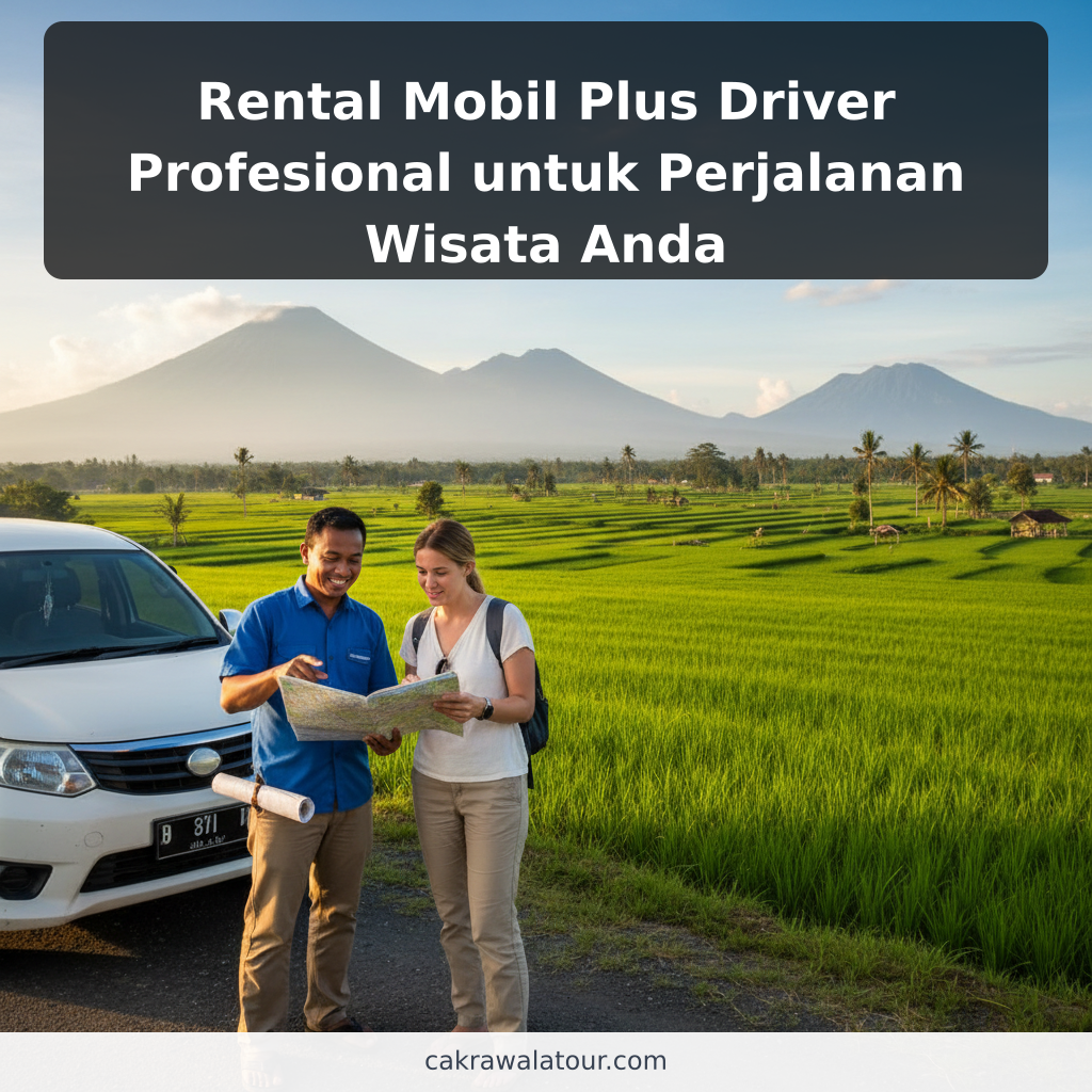 Rental Mobil Plus Driver Profesional untuk Perjalanan Wisata Anda - ilustrasi