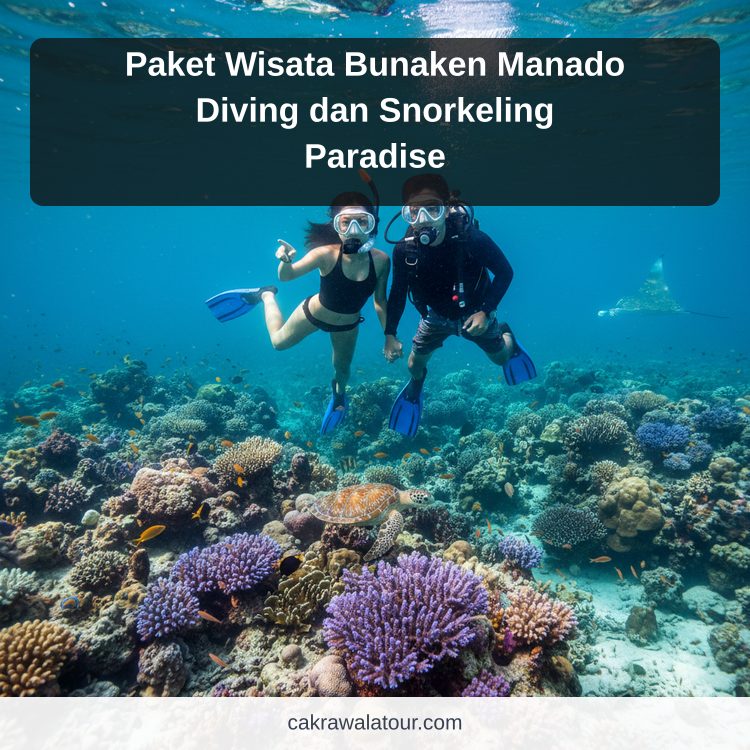 Paket Wisata Bunaken Manado Diving dan Snorkeling Paradise