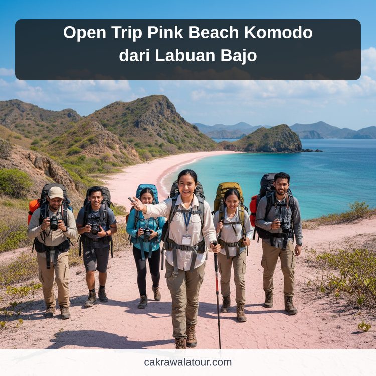 Open Trip Pink Beach Komodo dari Labuan Bajo