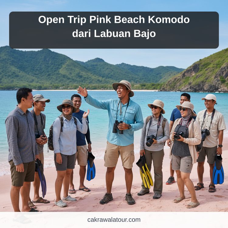 Open Trip Pink Beach Komodo dari Labuan Bajo ilustrasi